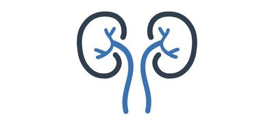 Image for Kidneys Ureters Urology Cricut SVG Design