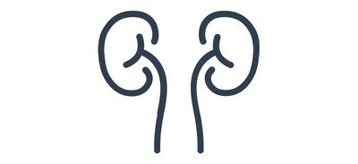 Image for Kidneys Ureters Urology Cricut SVG Design