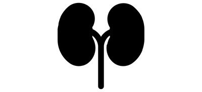 Image for Free Kidneys Organ Human Cricut SVG Design