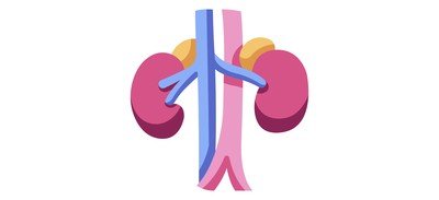 Image for Kidneys Cricut SVG Design