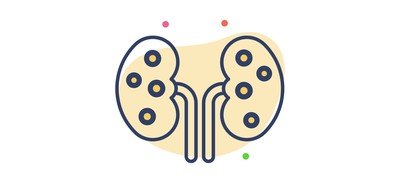 Image for Organ Anatomy Human Cricut SVG Design