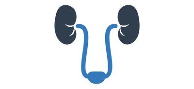 Image for Kidneys Ureters Urology Cricut SVG Design