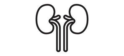 Image for Kidneys Organ Ureters Cricut SVG Design