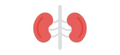 Image for Kidneys Urinary Bladder Urinary Tract Cricut SVG Design