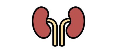 Image for Free Kidneys Organ Body Cricut SVG Design