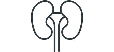 Image for Kidneys Bean Shaped Cricut SVG Design