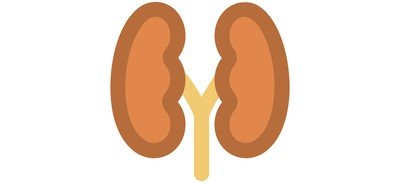 Image for Kidneys Bean Shaped Cricut SVG Design