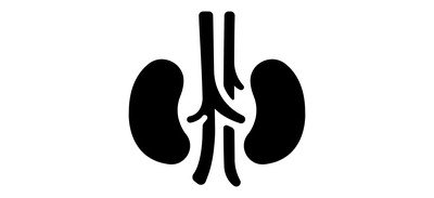 Image for Kidneys Internal Organ Human Cricut SVG Design