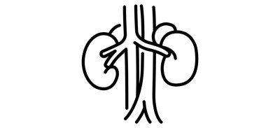 Image for Kidneys Cricut SVG Design