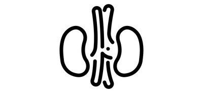 Image for Kidneys Internal Organ Human Cricut SVG Design