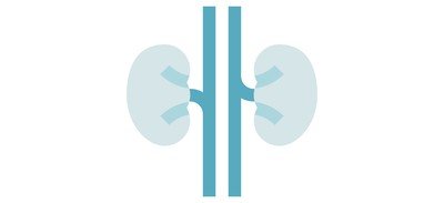 Image for Organ Anatomy Kidneys Ureters Cricut SVG Design