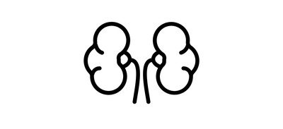 Image for Kidneys Organ Internal Cricut SVG Design