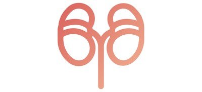 Image for Free Kidneys Organ Human Cricut SVG Design