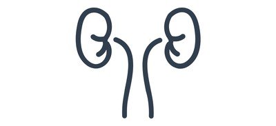 Image for Kidneys Ureters Urology Cricut SVG Design