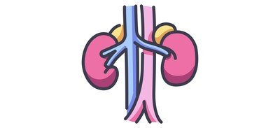 Image for Kidneys Cricut SVG Design