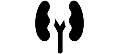 Image for Kidneys Bean Shaped Cricut SVG Design