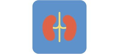 Image for Kidneys Bean Shaped Cricut SVG Design