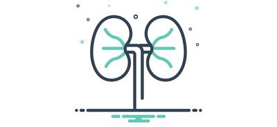 Image for Kidneys Urology Anatomy Cricut SVG Design