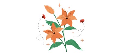 Image for Lily  Cricut SVG Design