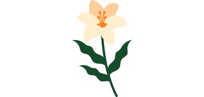 Image for Lily Cricut SVG Design