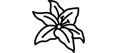 Image for Lily  Cricut SVG Design