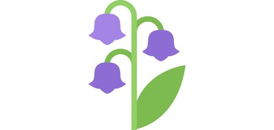 Image for Lily Of The Cricut SVG Design