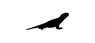 Image for Big Lizard Chameleon Cricut SVG Design