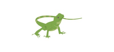 Image for Lizard Iguana Wild Animal Cricut SVG Design