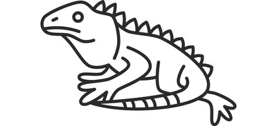 Image for Lizard  Cricut SVG Design