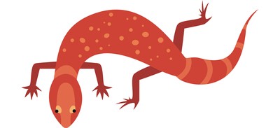 Image for Lizard Reptile Wildlife Cricut SVG Design