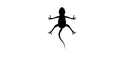 Image for Lizard Animal Reptile Cricut SVG Design