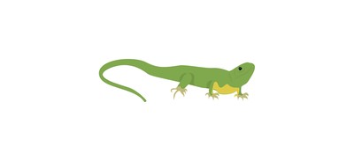 Image for Lizard Iguana Wild Animal Cricut SVG Design