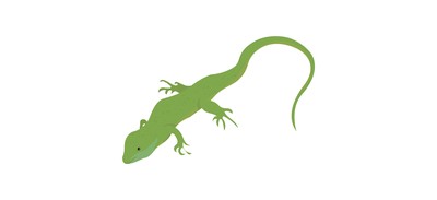 Image for Lizard Iguana Wild Animal Cricut SVG Design