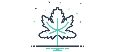 Image for Maple  Cricut SVG Design