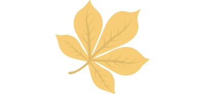 Image for Maple Leaf Autumn Cricut SVG Design