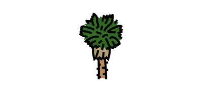 Image for Mexican Fan Palm Cricut SVG Design