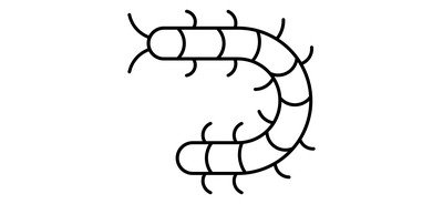 Image for Millipede Centipede Arthropod Cricut SVG Design