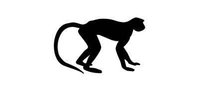 Image for Monkey Animals Cricut SVG Design