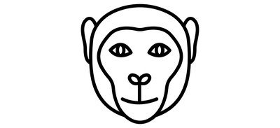 Image for Monkey Monkey Face Zoo Cricut SVG Design