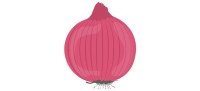 Image for Onion Vegetable Food Cricut SVG Design