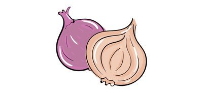 Image for Onion Bulb Onion Common Onion Cricut SVG Design