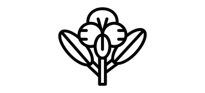 Image for Orchid  Cricut SVG Design