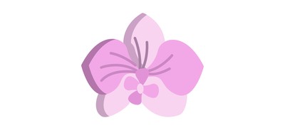 Image for Orchid Flower Flowers Cricut SVG Design