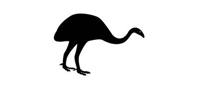 Image for Animal Bird Emu Cricut SVG Design