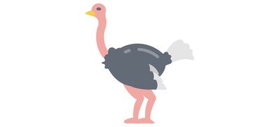 Image for Ostrich Bird Poultry Cricut SVG Design