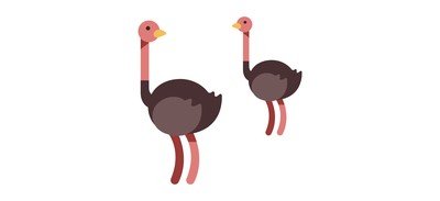 Image for Ostrich Bird Cricut SVG Design