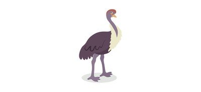 Image for Ostrich Emu Rheidae Cricut SVG Design