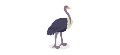 Image for Ostrich Emu Rheidae Cricut SVG Design