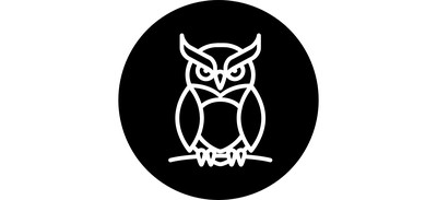 Image for Free Owl Animal Bird Cricut SVG Design