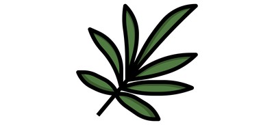 Image for Palm Botanical Tropical Cricut SVG Design